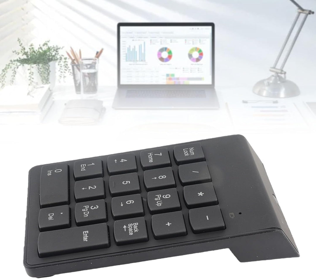 Richer-R 2.4G Wireless Numberic Tastatur, Tragbare Kabellos Nummernblock/Numeric Keypad 18 Tasten Zi