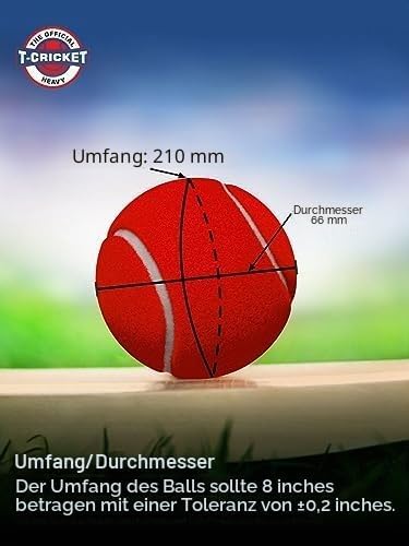 Nivia schwere Tennis Ball Cricket Ball (6 Stück) rot, rot