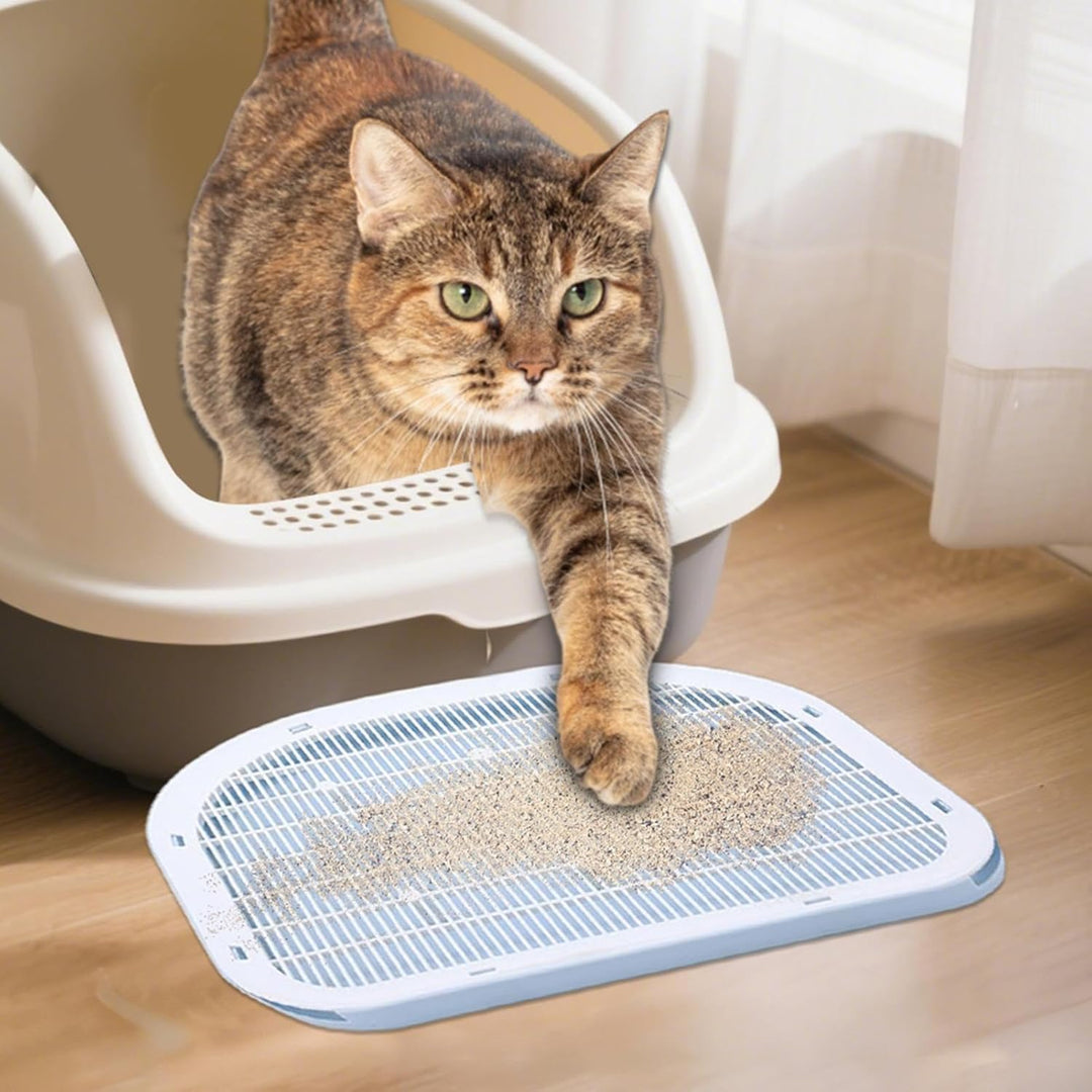 Katzenstreu Stufe, Tritt Mit Filterfunktion, Doppelschichtiger Leicht Zu Reinigender rutschfeste Fän