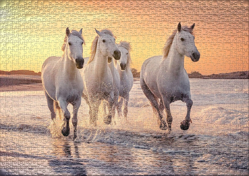 Ulmer Puzzleschmiede - Pferde-Puzzle Camargue-Pferde - klassisches 1000 Teile Tierpuzzle - das weiss