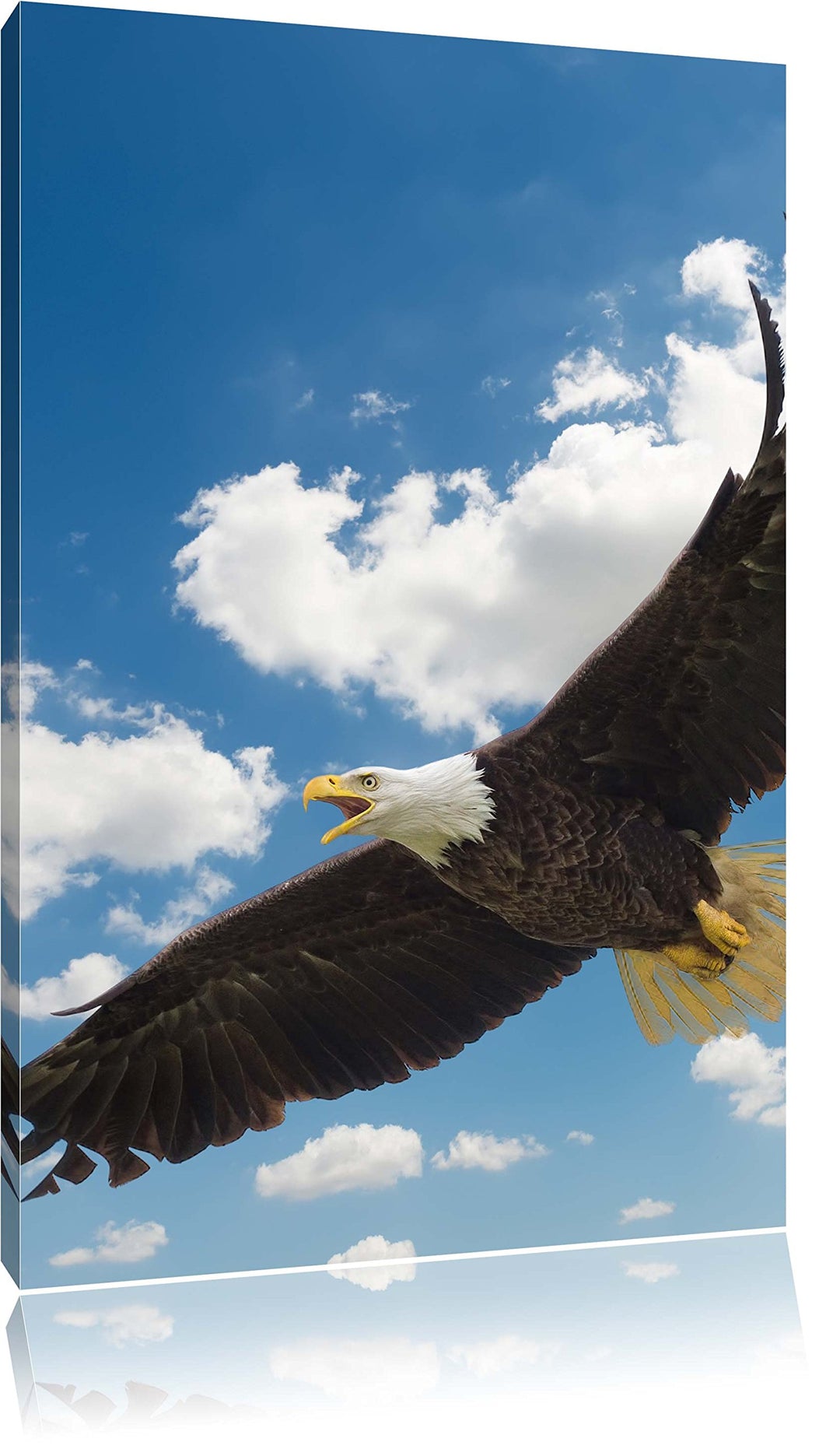 Pixxprint Adler fliegt über Schneebedeckte Berge, Format: 100x70 auf Leinwand, 100x70