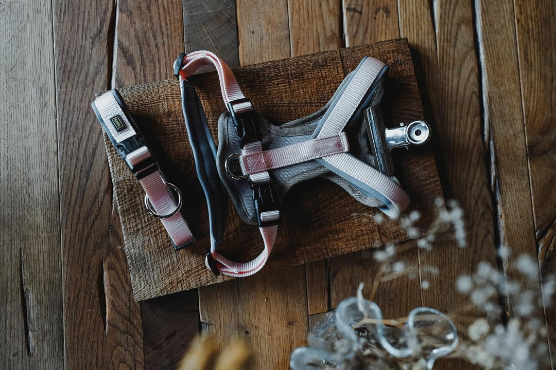 HUNTER Hundegeschirr NEOPREN, Farbe: pfirsich/grau, strapazierfähiges Nylon, mit weichem Neopren gep