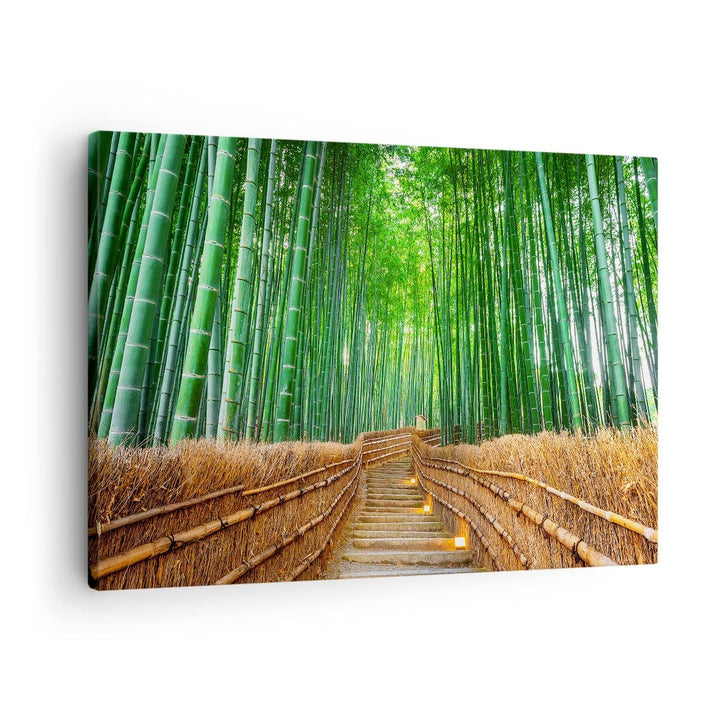 Bilder auf Leinwand Bambus Pflanze Leinwandbild mit Rahmen 70x50cm Wandbilder Dekoration Wohnzimmer