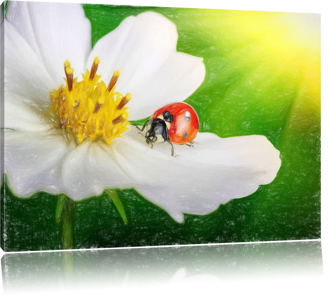 Pixxprint Marienkäfer auf Einer weissen Blume als Leinwandbild/Grösse: 100x70 / Wandbild/Kunstdruck/