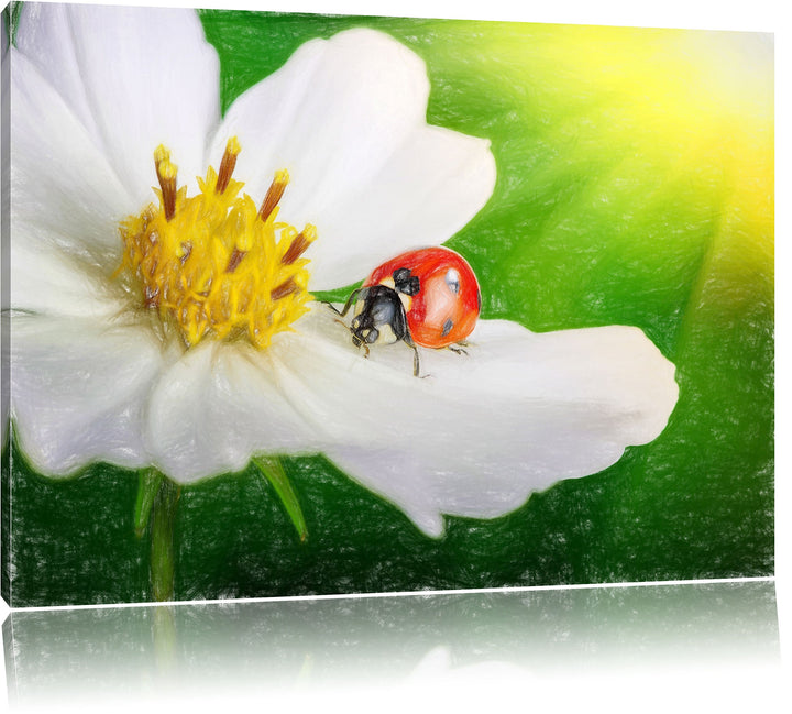 Pixxprint Marienkäfer auf Einer weissen Blume als Leinwandbild/Grösse: 100x70 / Wandbild/Kunstdruck/