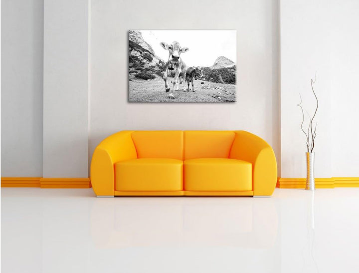 Pixxprint Almkuh auf der Weide Kunst B&W als Leinwandbild/Grösse: 100x70 / Wandbild/Kunstdruck/ferti