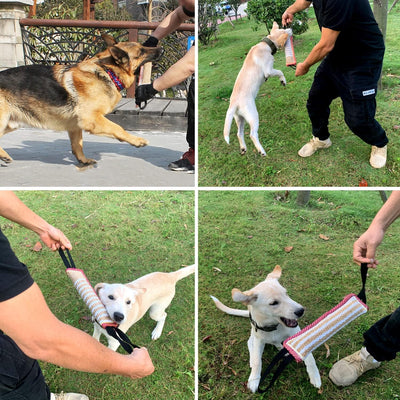 Armschutz Ärmel Hund Beissarm für Hunde mit Beisswurst Hunde Dauerhafte Jute Ausbildung Pit Bull Deu