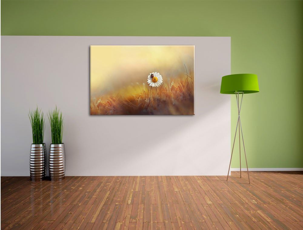 Pixxprint Gänseblümchen mit Marienkäfer im Gras, Format: 100x70 auf Leinwand, 100x70