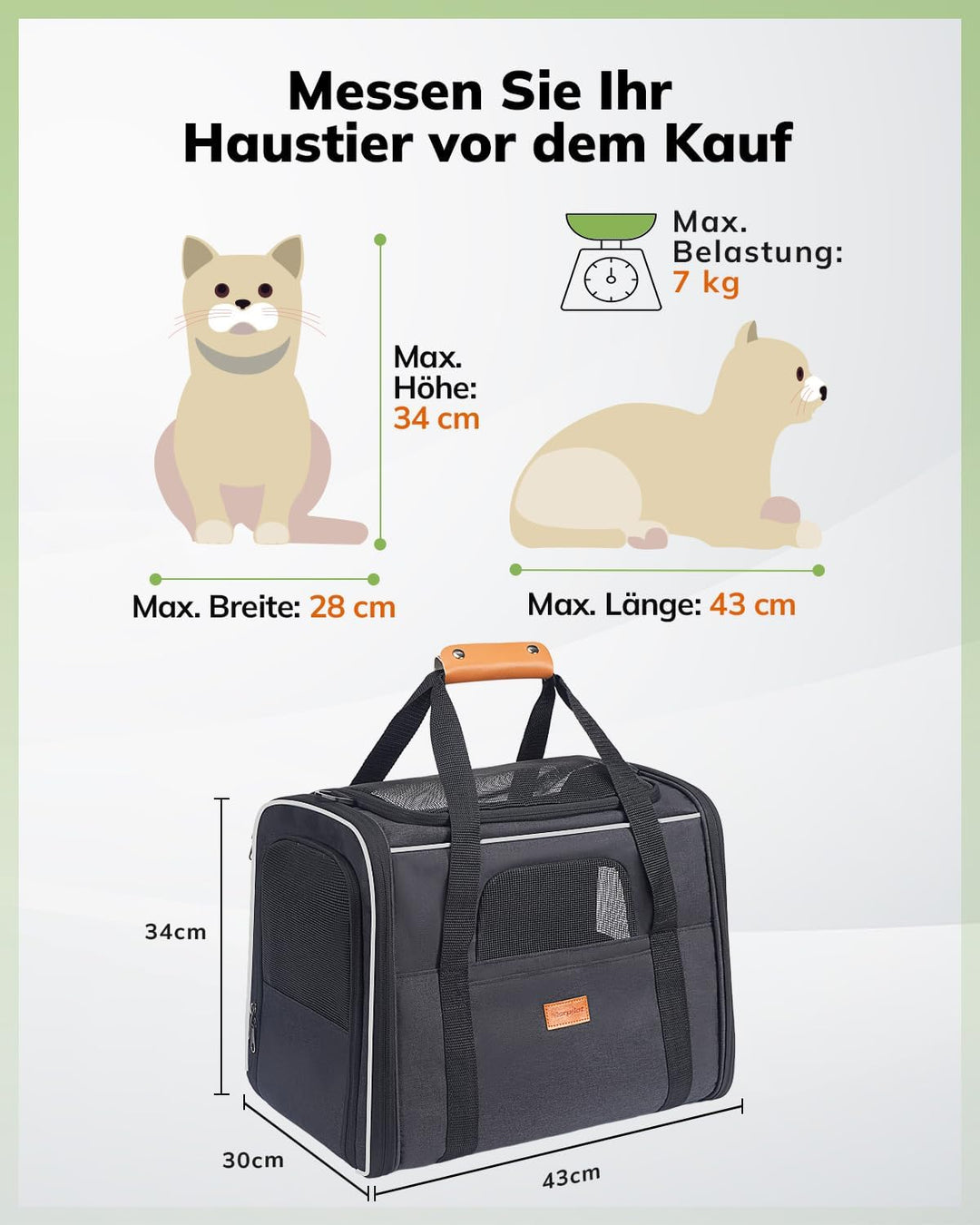 Morpilot Katzentransportbox für grosse Katzen und Welpen bis 7kg, Katzenbox Hundetasche mit Sicherhe