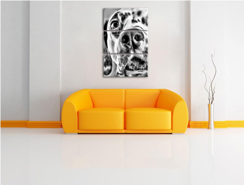 Pixxprint Süsser Dalmatiner als Leinwandbild/Grösse: 3 Teilig (120x80) cm/Wandbild/Kunstdruck/fertig