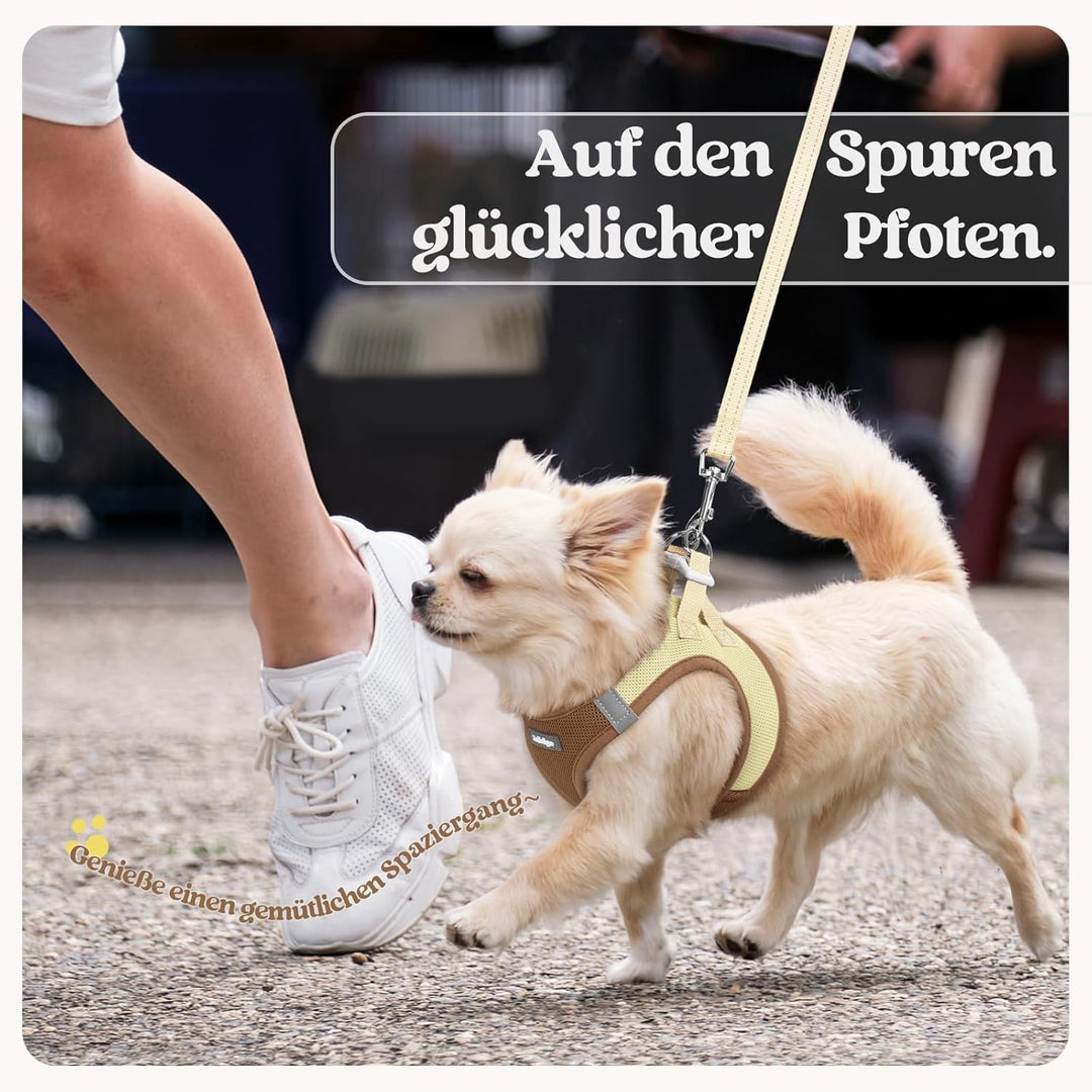 rabbitgoo Hundegeschirr Kleine Hunde mit Leine, Step-in Welpengeschirr Weich Mesh für Spaziergänge,