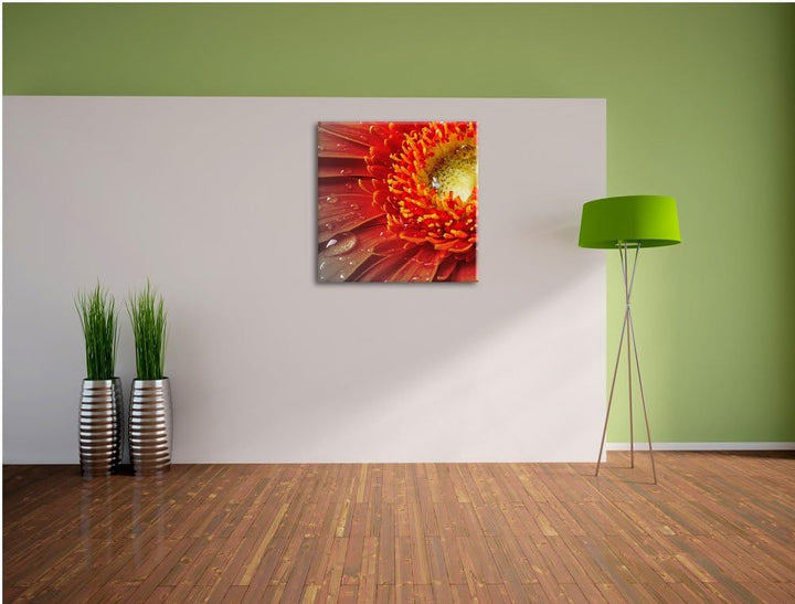 Pixxprint Gerbera mit Wassertropfen als Leinwandbild/Grösse: 70x70 cm/Wandbild/Kunstdruck/fertig bes