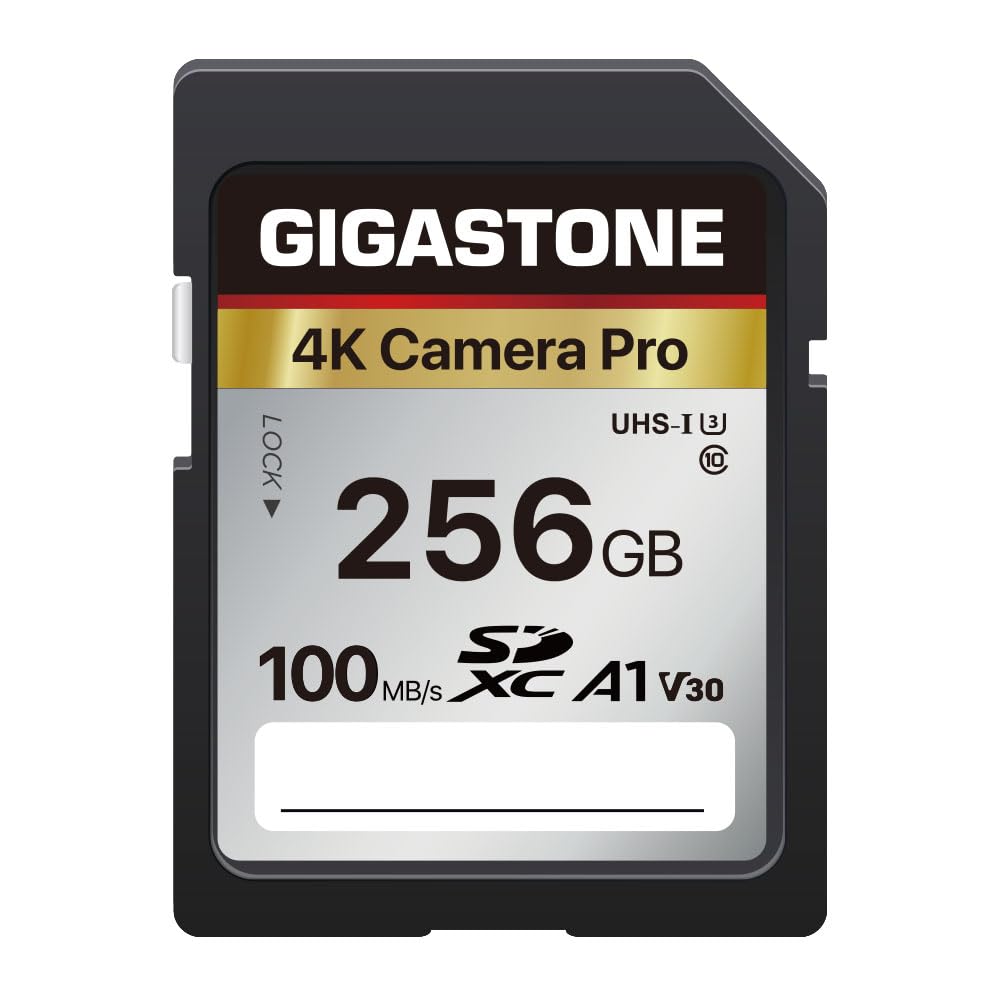 Gigastone SDXC-Speicherkarte, 256 GB, 4 K Kamera Pro Serie, Übertragungsgeschwindigkeit bis zu 100 M