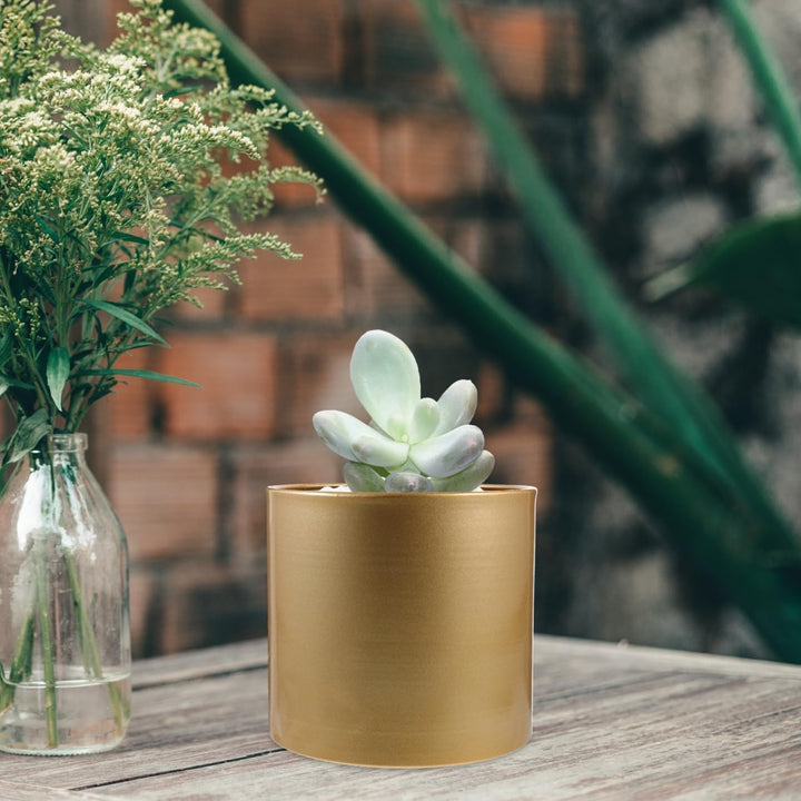 Eisen Pflanztopf Moderner Metall Dekorative Pflanzgefäss Metall Blumentopf mit Entwässerungsloch, Ru