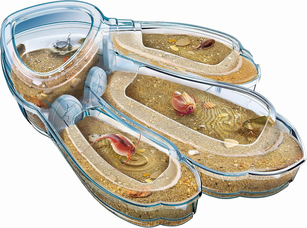 Clementoni Galileo Lab – Original Triops Maxi de Luxe, Züchten & Beobachten von Urzeitkrebsen, Spiel