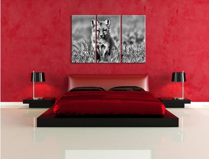 Pixxprint Kleiner Fuchs als Leinwandbild/Grösse: 3 Teilig (120x80) cm/Wandbild/Kunstdruck/fertig bes