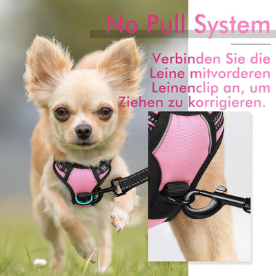 rabbitgoo Hundegeschirr Kleine Hunde Anti Zug Geschirr Hund mit Kontrolle No Pull Verstellbar Hundeg