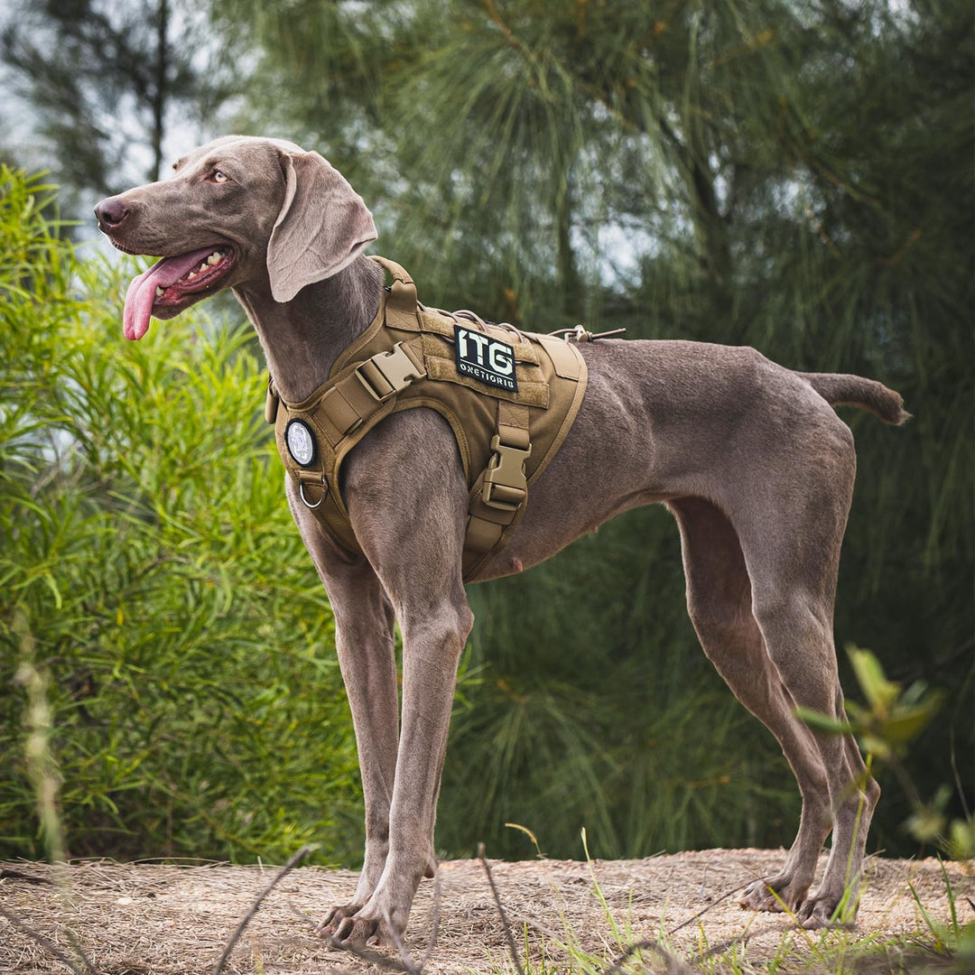OneTigris Taktische Hundeweste Service Hundegeschirr MOLLE Hundeausbildung Geschirr 1000D Nylon (XL,