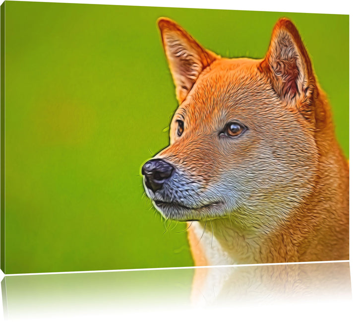 anmutiger Finnen-Spitz im Gras NewArt Format: 100x70 cm auf Leinwand, XXL riesige Bilder fertig gera
