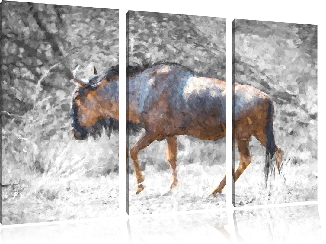 gigantische Kaffernbüffel in der Savanne schwarz/weiss Deluxe 3-Teiler Leinwandbild 120x80 Bild auf