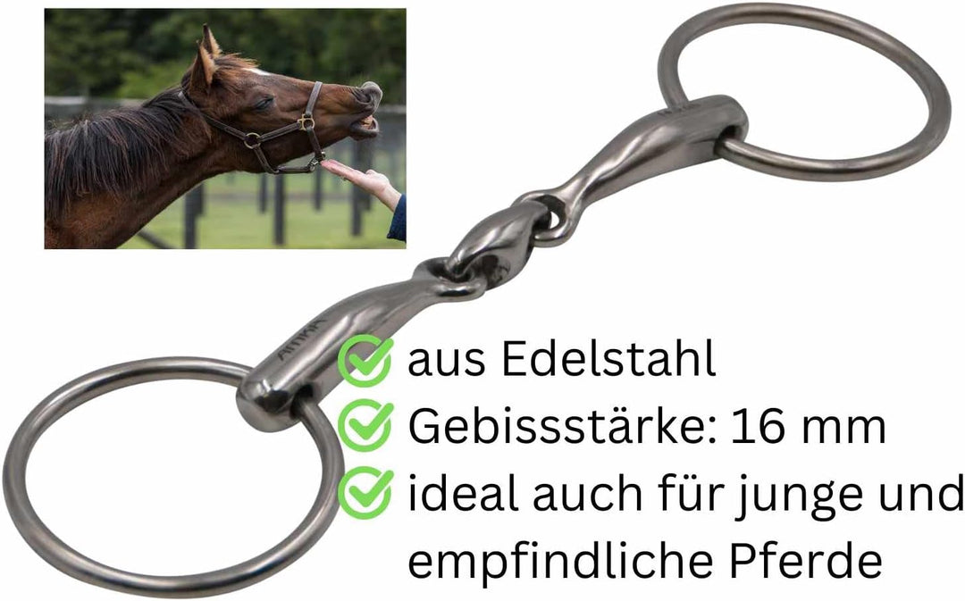 AMKA Wassertrense doppelt gebrochen massiv Edelstahl Stärke 16 mm, Ringe 65 mm 12,5, 12,5