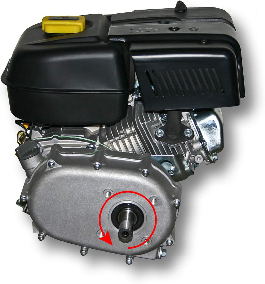LIFAN 168 Benzinmotor 4,8 kW 6,5 PS 196 ccm mit Ölbadkupplung und Reduktionsgetriebe 2:1 Kartmotor