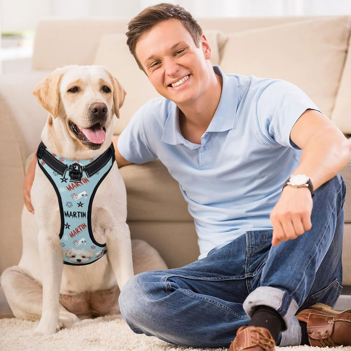 Individuelle Hundegeschir mit Foto und Namen des Tieres, Personalisierte Verstellbare Reflektierende