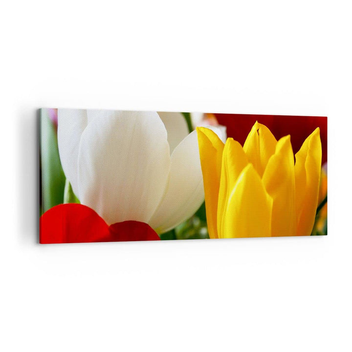 Wandbilder Dekoration Wohnzimmer Tulpen Vase Blumenstrauss Panorama Bilder auf Leinwand 120x50cm Lei
