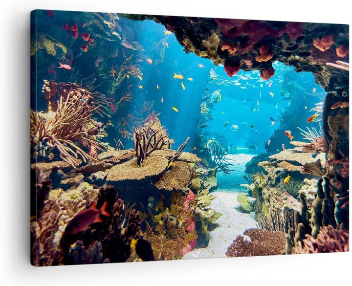 Bilder auf Leinwand Ozean Riff Fische Koralle Leinwandbild 70x50cm Wandbilder Dekoration Wohnzimmer