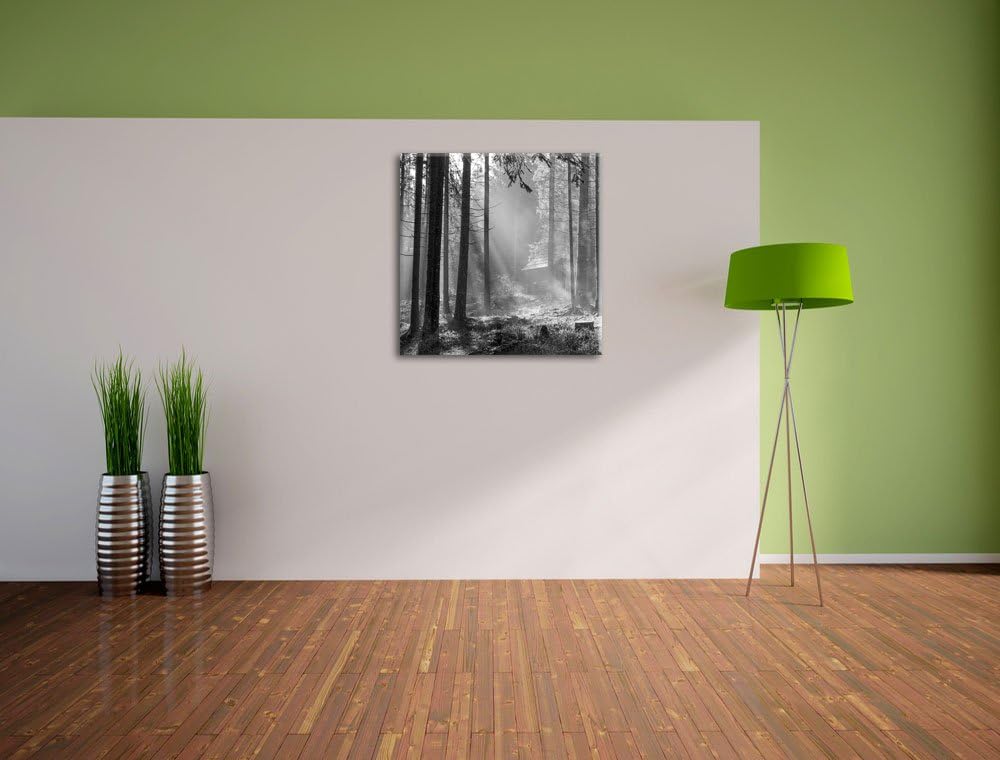 Pixxprint Häuschen im Wald mit Sonnenstrahlen schwarz/weiss, Format: 70x70 auf Leinwand, 70x70