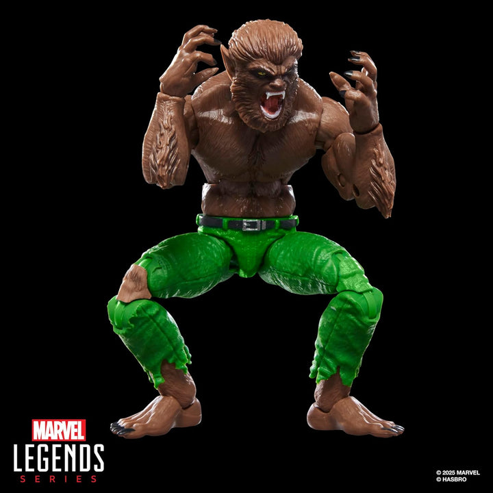 Marvel Legends Series Werewolf By Night Marvel Comics Action-Figur, Werewolf by Night