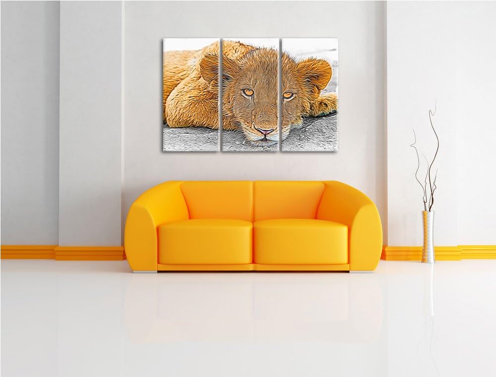 schläfriger junger Löwe schwarz/weiss Deluxe 3-Teiler Leinwandbild 120x80 Bild auf Leinwand, XXL rie