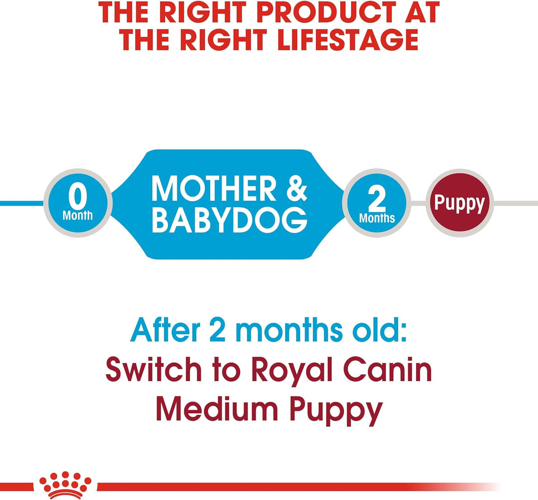 ROYAL CANIN Hundefutter Medium Starter 12 kg, 1er Pack (1 x 12 kg) 12 kg (1er Pack), 12 kg (1er Pack