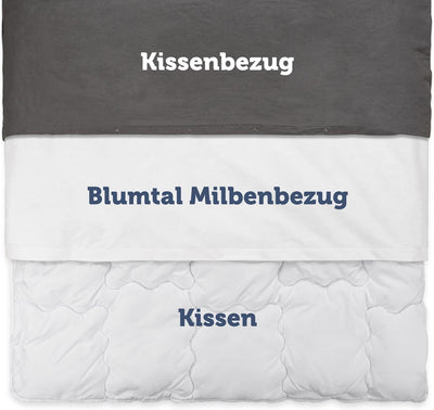 Blumtal® Milbenbezug Decke 200x220 cm - OEKO-TEX zertifizierte Allergiker Bettwäsche 200x220 cm - Mi