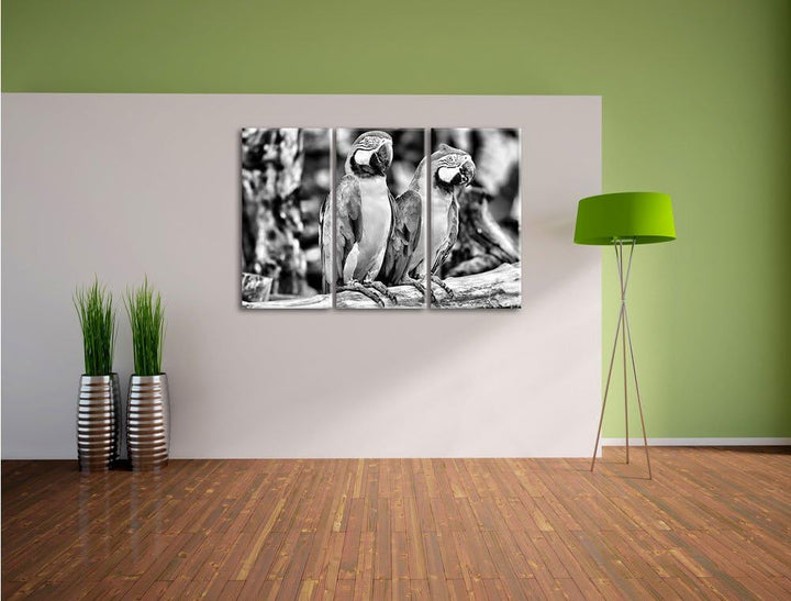 Zwei Papageien als Leinwandbild | Grösse: 3 Teilig (120x80) | Wandbild| Kunstdruck | fertig bespannt