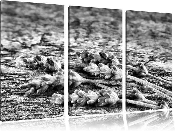 Pixxprint Liegender frischer Lavendel als Leinwandbild/Grösse: 3 Teilig (120x80) cm/Wandbild/Kunstdr