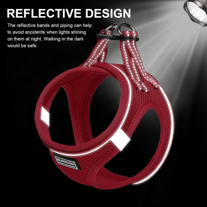 Suredoo Hundegeschirr mit Leine Anti Zug Geschirr Reflektierend Brustgeschirr für Kleine Hunde, Haus