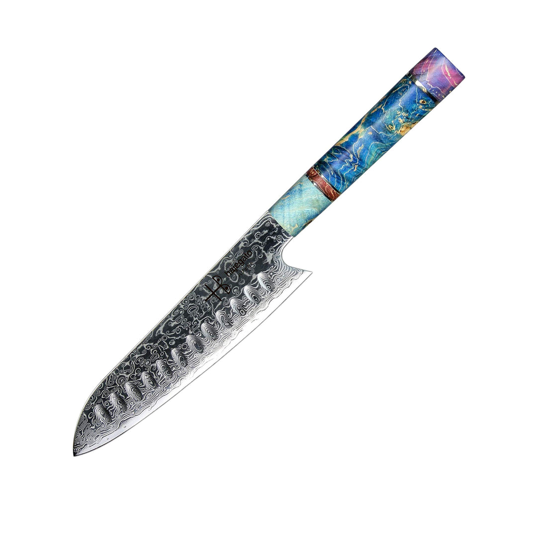 Hajegato Damastmesser - Einzigartiges Griff Kochmesser Profi Japanisches VG10 - 67 Schichten Damasts