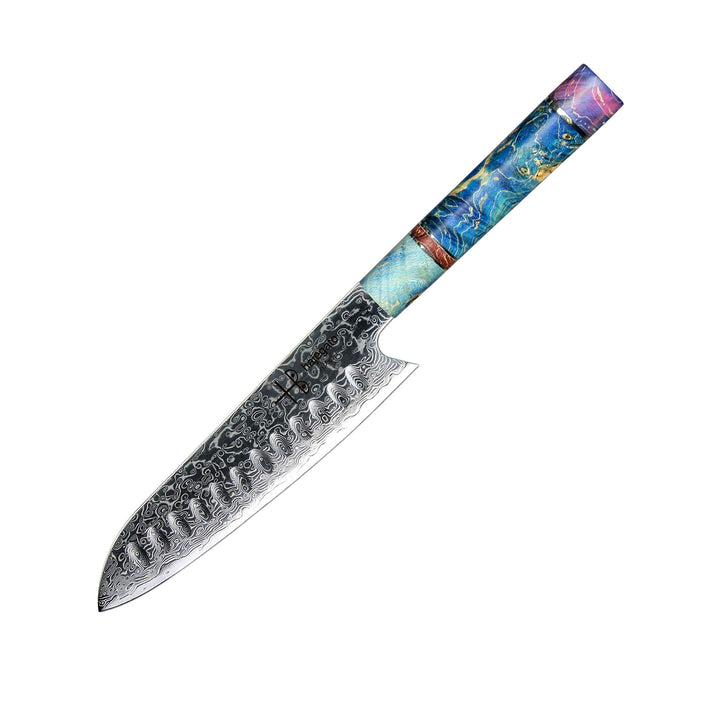 Hajegato Damastmesser - Einzigartiges Griff Kochmesser Profi Japanisches VG10 - 67 Schichten Damasts