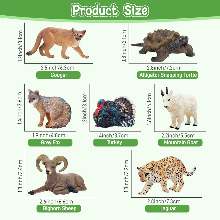 TOYMANY 14 Stück Mini Nordamerikanische Waldtierfiguren, Realistische Dschungel Spielfiguren Spielze