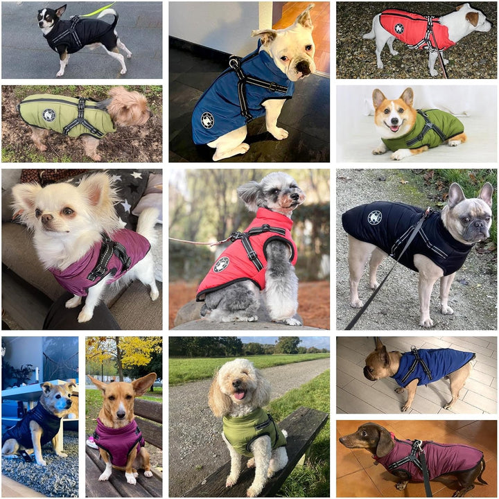 Hundemantel für kleine Hunde, Hundemantel mit Geschirr, Reflektierende Outdoor-Hundeweste, Winter Hu