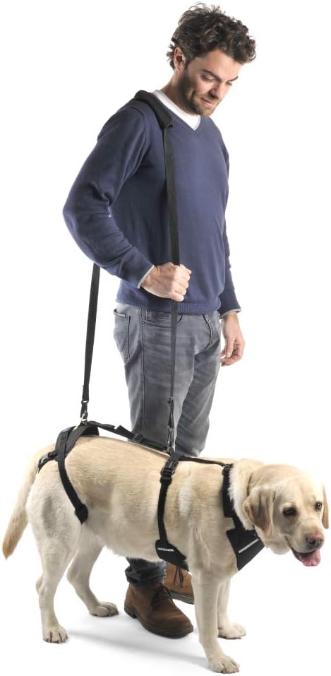 Ortocanis - Ganzkörper-Hundegeschirr zur Unterstützung von Vorder- und Hinterbeine, Grösse S Grösse