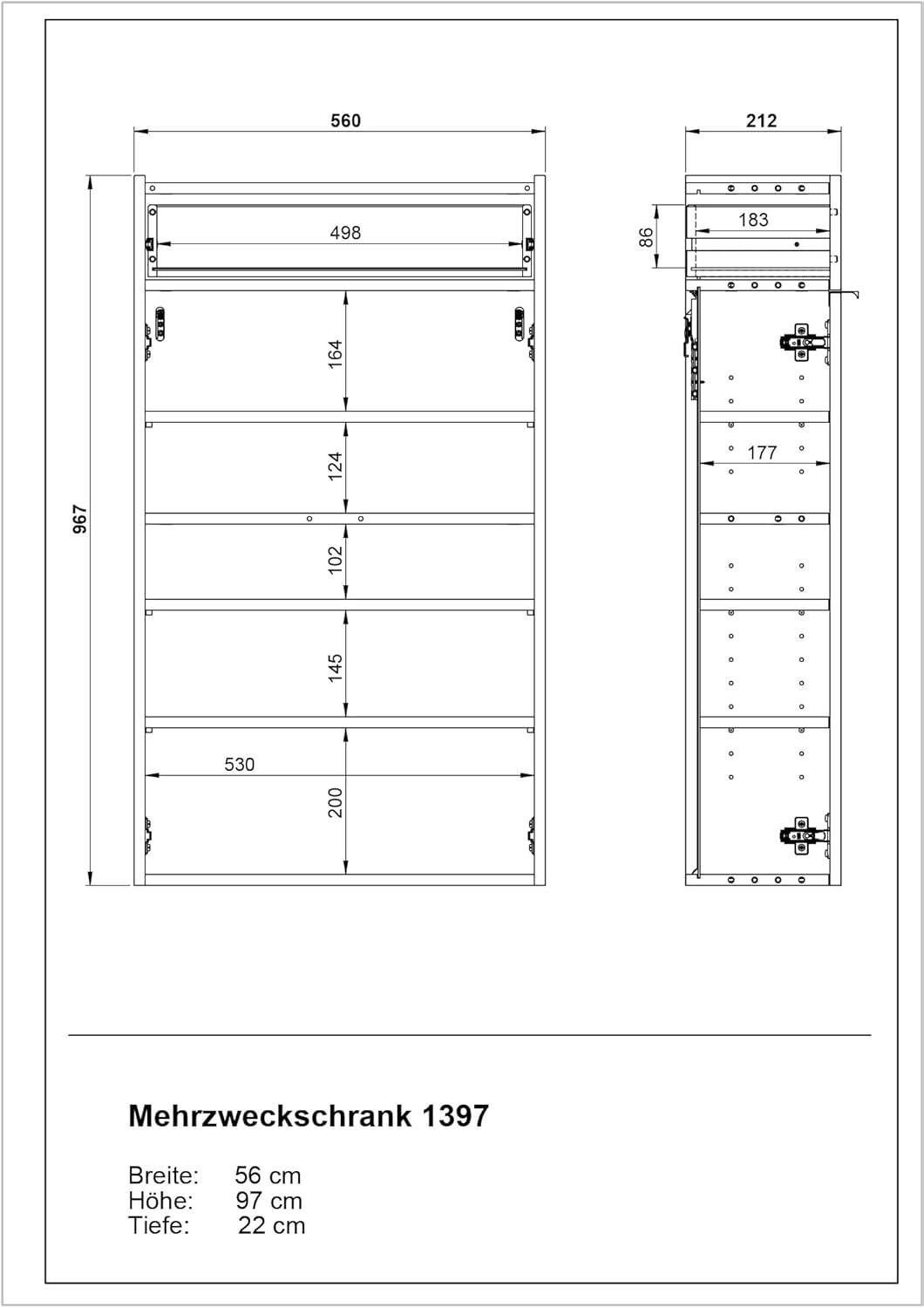 Germania Hängender Schuhschrank 1397-549 GW-Ameca, in Graphit/Eiche, geringe Tiefe, optimal für schm