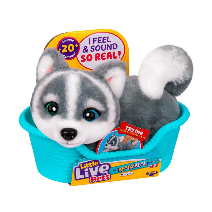 Little Live Pets My Really Real Puppy Minis – Aurora der Husky, interaktiver Puppy mit 20+ Geräusche