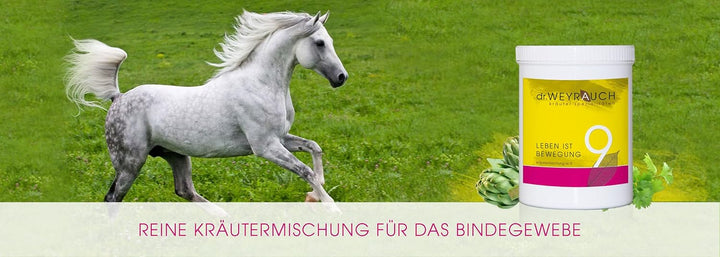 Dr. Weyrauch Nr. 9 Leben ist Bewegung - Ergänzungsfutter für Pferde - 1,2 kg Dose