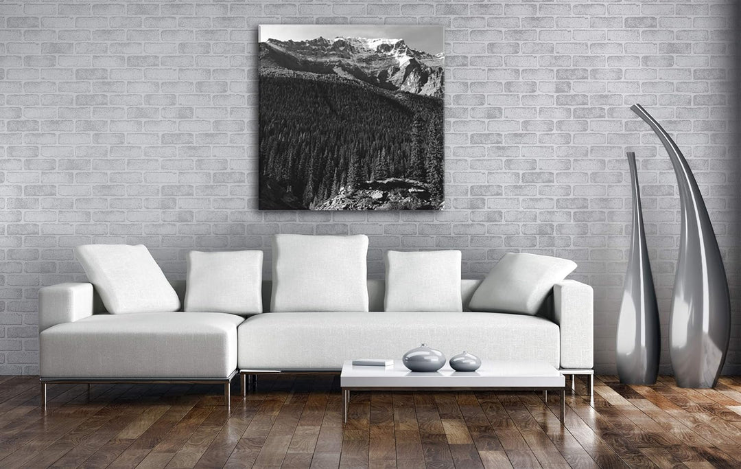 deyoli Atemberaubende Waldlandschaft Format: 70x70 Effekt: Schwarz&Weiss als Leinwandbild, Motiv auf