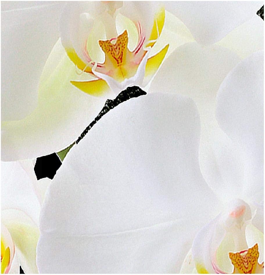 Runa Art Wandbilder Blumen Orchidee Bild XXL Wohnzimmer Schlafzimmer Grün Abstrakt 120 x 80 cm 3 Tei