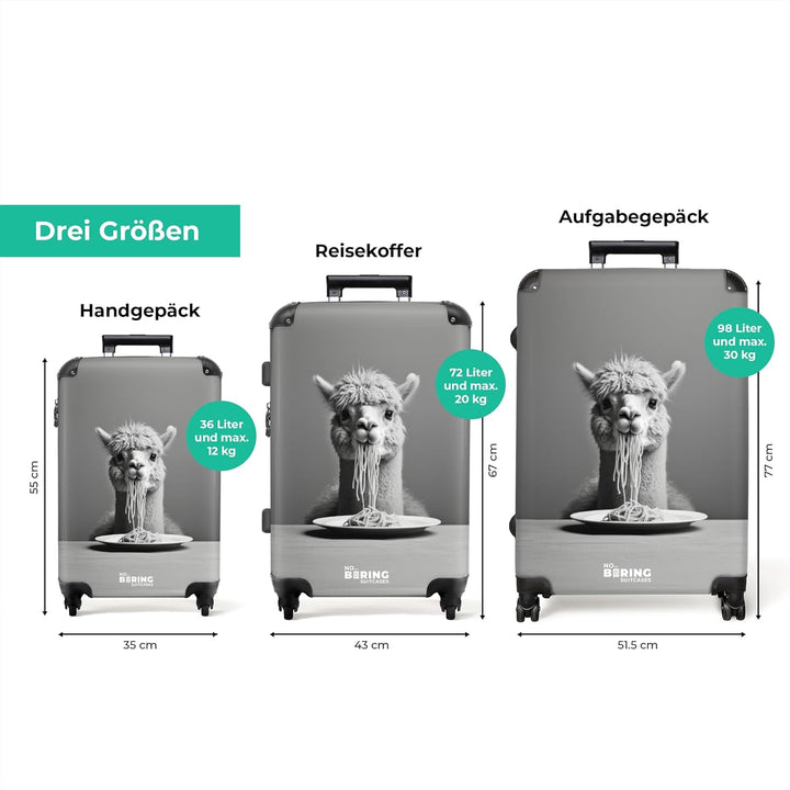 NoBoringSuitcases.com® Koffer XL Gross 77x51.5x28 cm Reisekoffer mit 4 Rollen Leicht Trolley Hartsch