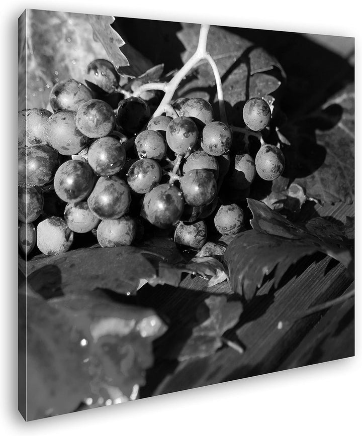 deyoli Herbstlicher Weintraubenstrauch Format: 70x70 Effekt: Schwarz&Weiss als Leinwandbild, Motiv f
