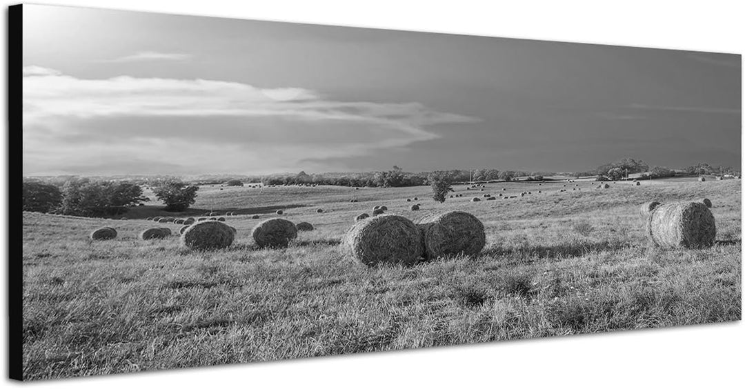 Paul Sinus Art Leinwandfoto als Panorama SCHWARZ/Weiss 120x40cm Toskana Feld Strohballen Herbst Aben